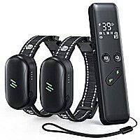 Electronic Training Collars