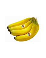 Fresh Organic Bananas Approximately 3 Lbs 1 Bunch of 6-9 Bananas