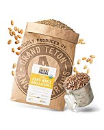 Organic Hard White Wheat Berries - 25 lbs