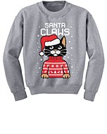 Santa Claws Sweatshirt Toddler Youth Kids Cat Ugly Christmas Sweater Style Medium Gray