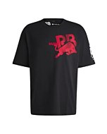 HUGO, F1 2024 Racing Bull Team Back Logo Tshirt, Black, S