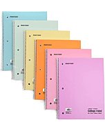 Mintra Office Spiral Notebooks Mintra Office Spiral Notebooks - Pastel, College Ruled, 6 Pack, For School, Office, Business, Professional,70 Sheets