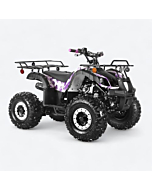 125cc ATV - Fully Assembled, Automatic Engine with Reverse, Safety Kill Switch and Parking Brake, Front and Rear Rack, Coolster ATV-3125XR-8 Mid-Sized, Utility Style Quad (Army Purple)