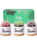 POTEY Artificial Succulents in Pots, Home Sweet Home 3.23 Inch Ceramic Pots with Plants, Gift Box and Card, House Warming Gifts for New Home, Birthday Wedding Gift for Home Decor