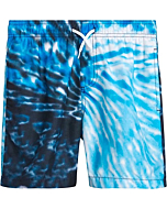 Trunks Surf & Swim Co. Boys' Swim Trunks - Quick Dry UPF 50+ Bathing Suit Shorts (S-XL), Size Large, Blue