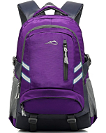 Backpack Bookbag for School College Laptop Travel Student ,Fit Laptop Up to 15.6 inch Multi Compartment with USB Charging Port Anti theft, Gift for Men Women (Purple)