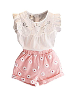 2PCS Set Toddler Kids Baby Girls Outfits Clothes T-Shirt Vest Tops+Shorts Pants(3T, Pink)