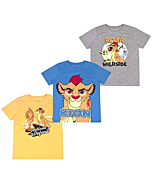 Disney Lion Guard The Toddler Boys' T-Shirt (Pack of 3) 2T Grey