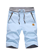 Tansozer Men's Shorts Casual Classic Fit Drawstring Summer Beach Shorts with Elastic Waist and Pockets (Sky Blue, Large)