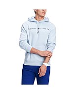 Tommy Hilfiger mens Logo Hooded Sweatshirt, Ambrosia, Medium US