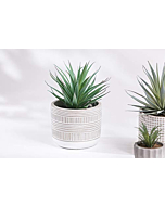 Kurrajong Farmhouse 8" x 4.5" Artificial Plant in Pot | Beautiful Faux Plant for Bedroom Decor | Fake Plant for Shelf Decor | Realistic Faux Succulent for Desk Decor | Artificial Succulent Plant