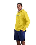 Champion mens Powerblend Fleece Pullover Hoodie, Classic Script Logo Shirt, Butterscotch Bliss-y07718, Small US