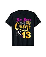 13th Birthday Girls 13 Years Official Teenager Birthday T-Shirt