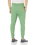 Champion Men's Reverse Weave Joggers, Left Hip C, Native Fern Green-Y06146, Medium