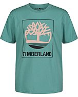 Timberland boys Short Sleeve Graphic T-shirt T Shirt, 01 Mineral Green 22, Small US