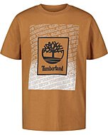 Timberland boys Short Sleeve Graphic T-shirt T Shirt, 01 Wheat 22, 8 US