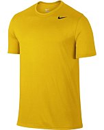 NIKE Men's Dry Legend 2 Tee, University Gold/Black/Black, X-Small