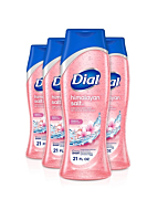 Dial Body Wash, Himalayan Salt, 21 Ounce (Pack of 4)