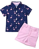 Toddler Baby Boy Flamingo Short Sleeve Button Down Shirt & Casual Shorts Set Summer Outfits 1-6 Years Clothes