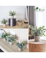 Three mini potted artificial eucalyptus plants in a stylish ceramic pot.