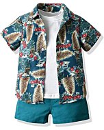 JunNeng Todder Baby Boy 3Pcs Hawaii Shorts Sets Clothes Sets,Infant Floral Leaf Summer Beach Outfits (Dark Blue, 18-24 Months)