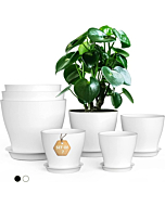 MISOLIFE Plant Pots Planters 7 Pack-7/6.5/6/5.5/5/4.5/4 Inch Plastic Flower Pots with Multiple Drainage Holes and Trays, Planters for Indoor Plants, Flowers, Snake Plant, White