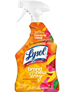 Lysol All-Purpose Cleaner Spray - Mango & Hibiscus