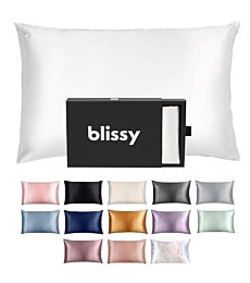 Blissy Silk Pillowcase - 100% Pure Mulberry Silk - 22 Momme 6A High-Grade Fibers - Silk Pillow Cover for Hair & Skin - Regular, Queen & King with Hidden Zipper (King, Blissy White)