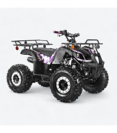 125cc ATV - Fully Assembled, Automatic Engine with Reverse, Safety Kill Switch and Parking Brake, Front and Rear Rack, Coolster ATV-3125XR-8 Mid-Sized, Utility Style Quad (Army Purple)