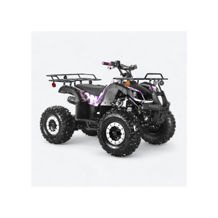 125cc ATV - Fully Assembled, Automatic Engine with Reverse, Safety Kill Switch and Parking Brake, Front and Rear Rack, Coolster ATV-3125XR-8 Mid-Sized, Utility Style Quad (Army Purple)