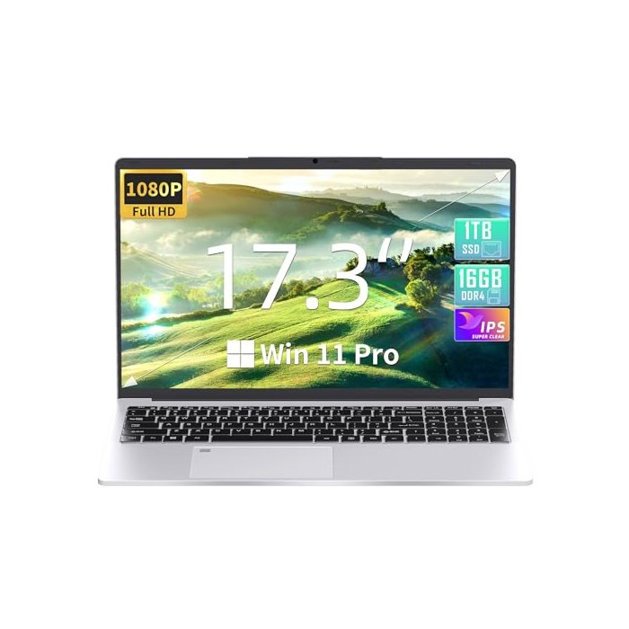 17.3" Laptop, 16GB RAM, 1TB Celeron N5095 (Up to 2.9 GHz), FHD IPS Display, 【Win 11 Pro/Office 2019】 HDMI/Fingerprint Reader/Backlit Keyboard/WiFi/Ideal for Work & Study (960GB)